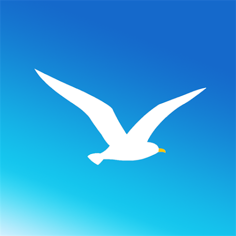 海鸥 吉他谱
